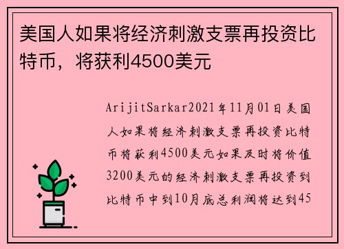 美国人如果将经济刺激支票再投资比特币，将获利4500美元 